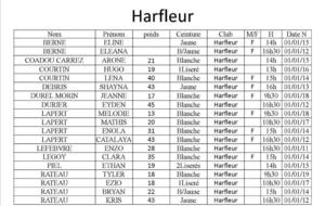 638332eee9e8a_Harfleur.jpg