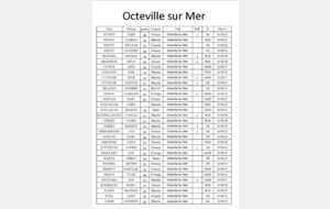 638332ef3f877_Octeville.jpg
